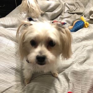 Meet your Posher, Randy